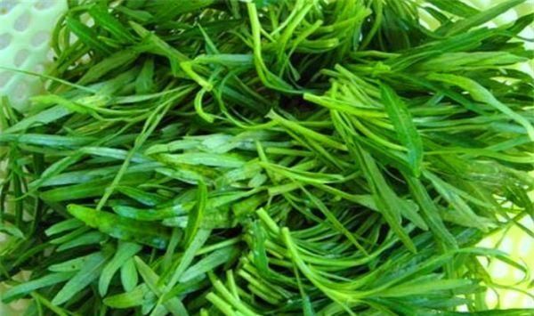 女性想要身体好，建议吃的食物，排出毒素，润肠通便，防止便秘