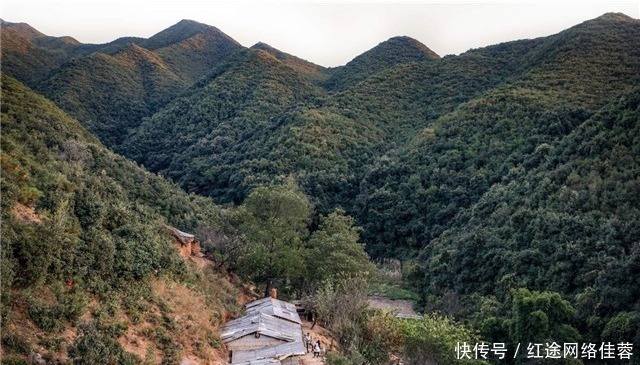 脚印|大山中的一家六口，以采药种地放牧为生，外界发现时都没户口