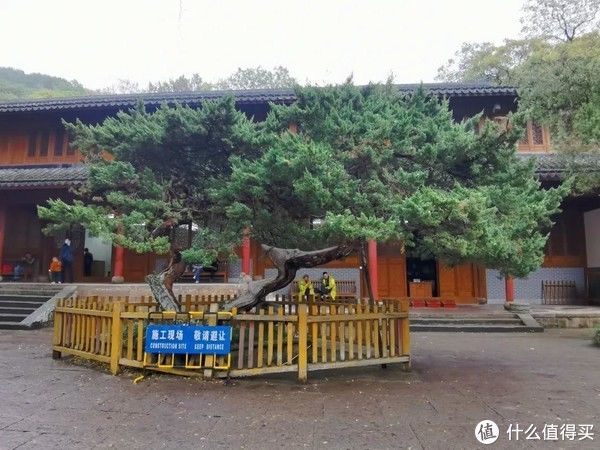 法雨寺|触动，在路上 篇一百一十：四大佛教名山之普陀山，观音菩萨道场，有哪些值得一看的景观？