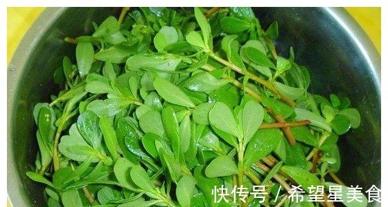 女性朋友|农村看到这种草，务必别“踩”，采点回去吃，杀菌消炎，女人多吃！