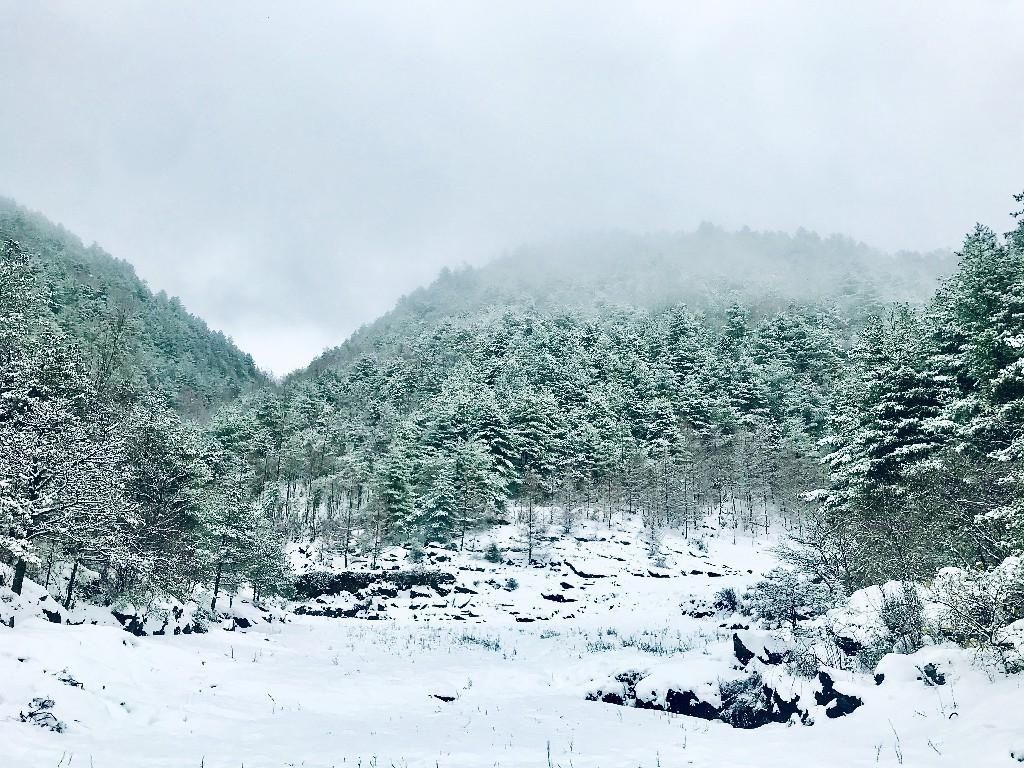 巫溪县文峰镇|巫溪：雪景美如画