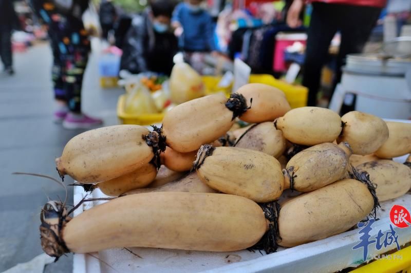  逛逛广州菜市场，闻闻市井烟火味