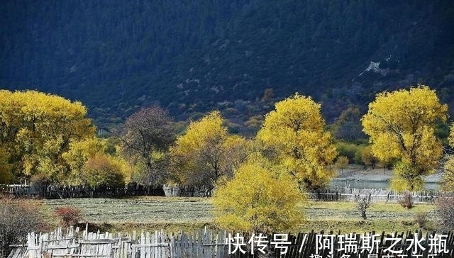 事业|这四个属相今年跋山涉水，事业越来越好，好运在后头，尽如人意