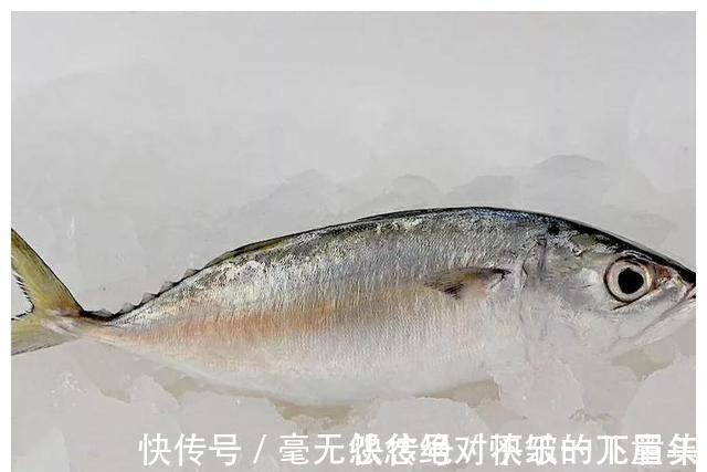 道口子|入秋后,如果不差钱,记得给孩子吃5种深海鱼,DHA含量高