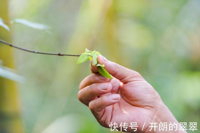 垦殖场|大茅山，这世界那么多人，你是贴切的水