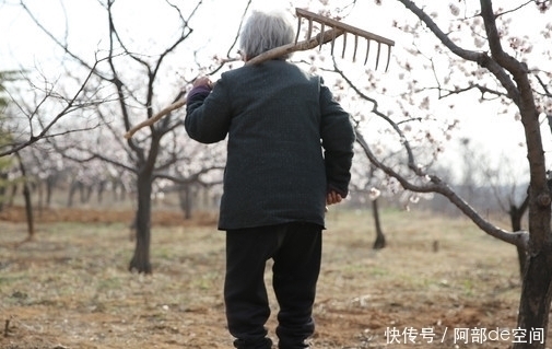朱南孙|97岁的朱南孙教授，长寿的5个“秘密”，或许比吃保健品有效