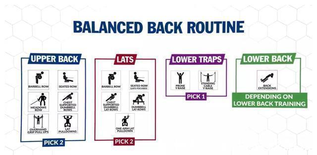 斜方肌|健身练背合集，每1块背肌都给你安排的明明白白