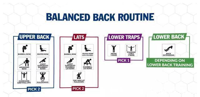 斜方肌|健身练背合集,每1块背肌都给你安排的明明白白