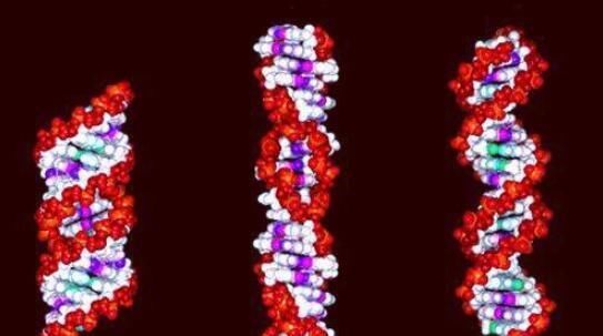 等离子体 宇宙中可能存在着一种等离子体生命，它们与碳基生命完全不同