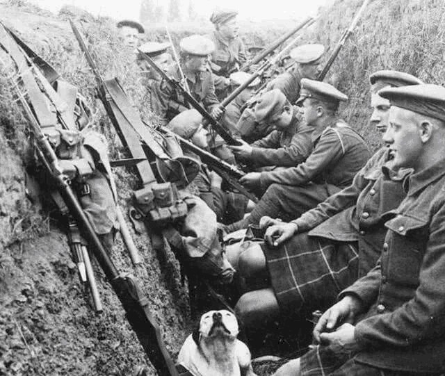 伤亡人数|为何一战被许多人评为最惨烈的战争，而不是伤亡人数更多的二战