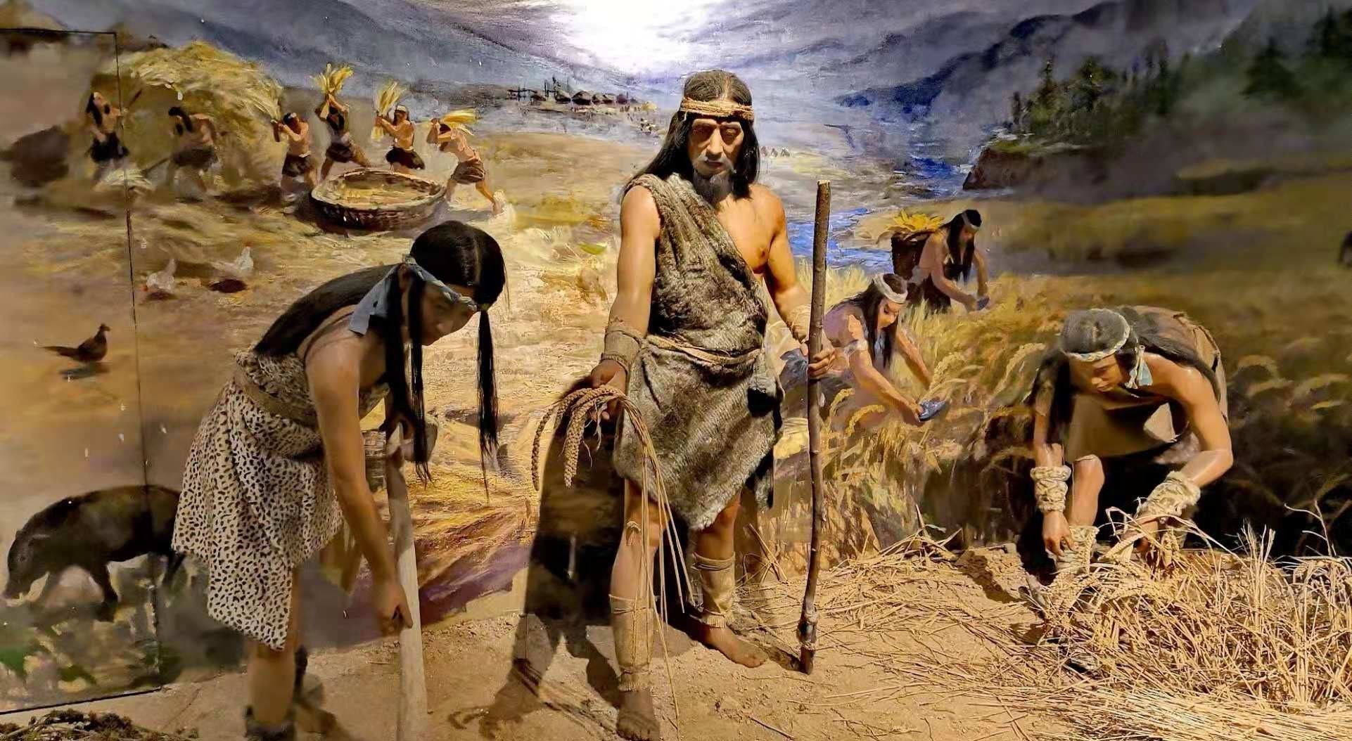 证明|炎帝的根在哪里?考古学家:水稻和古城的发现,证明或是发源于此