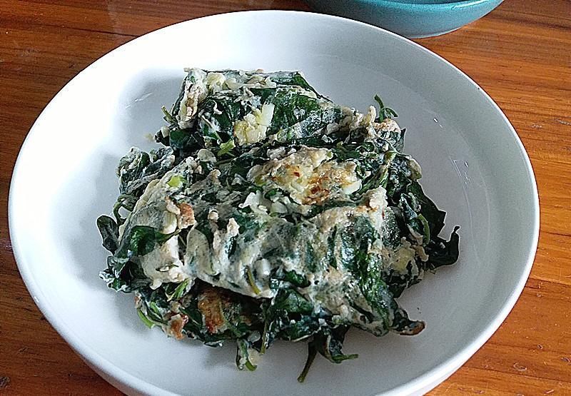 枸杞叶|茴香韭菜不如它,5块钱1斤,常吃眼睛明亮,和鸡蛋一炒特别鲜香