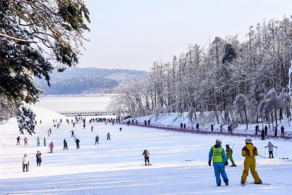 心间|净月潭的雪，美在山川，暖在心间！