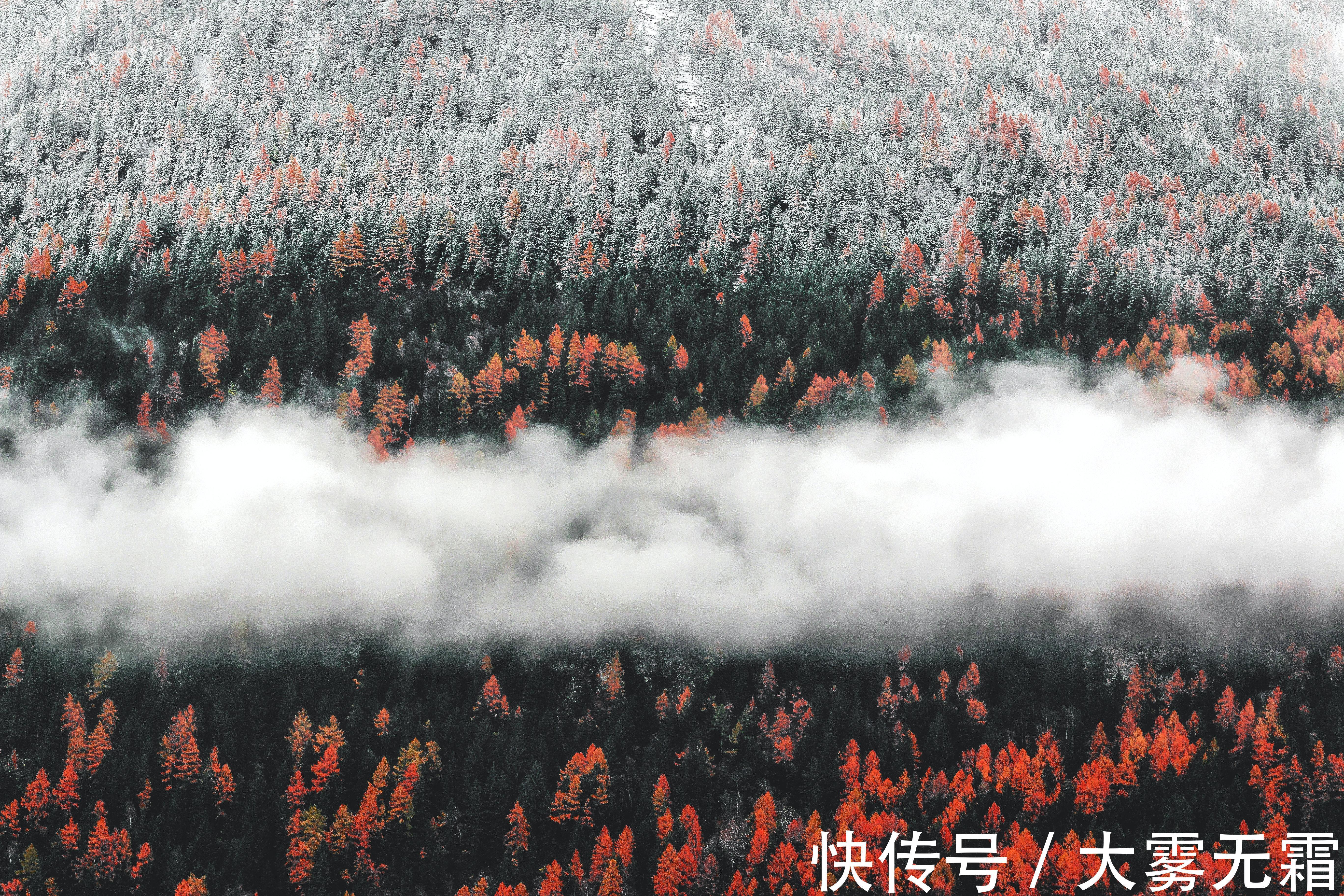 广告|房地产广告那么假大空却还自我感觉良好,哪来的底气?