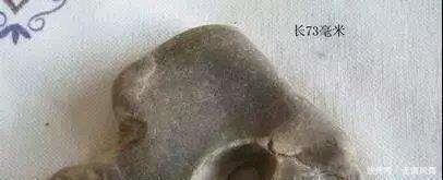 古代|古代最残忍的刑罚，过程长达2年，下场惨不忍睹！