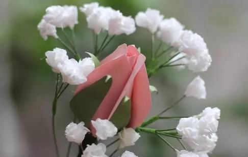 想到|谁能想到这么浪漫的满天星,竟是卫生纸揉的假花,附教程