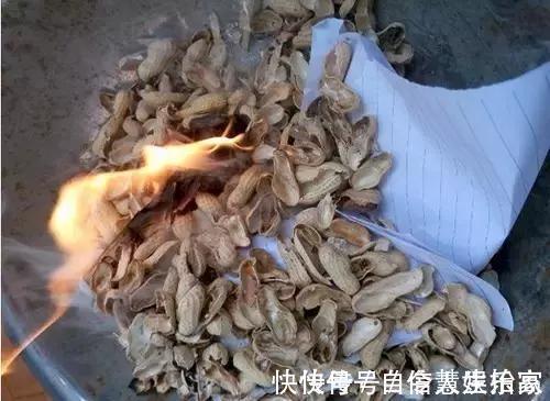 脱盐|这2种“壳”丢了太可惜,埋花土里3年不板结,种什么花都旺!