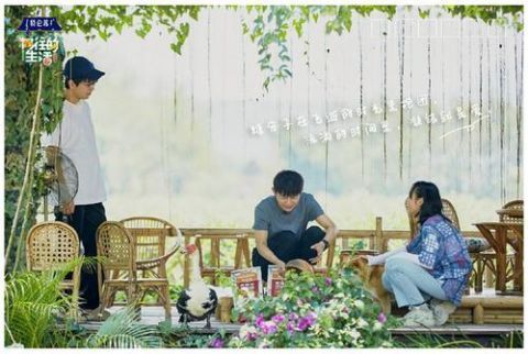 節目|本來想看王冰冰的，沒想到被節目吸了粉