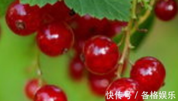 明目|想要长寿,坚持吃四种食物,润肤美容,补钙明目,谁吃谁受益