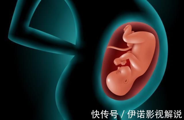 dh宝宝聪明要趁早在娘肚会经历3个脑发育高峰期,孕妈要抓住时机