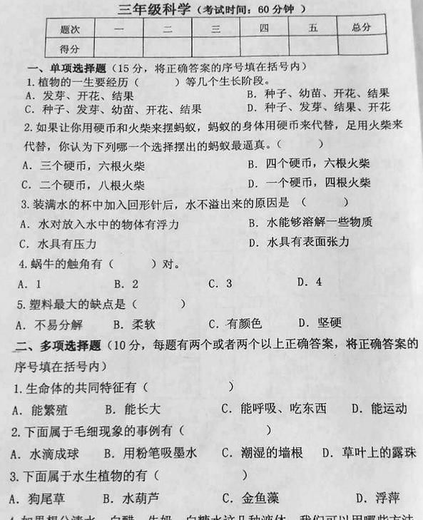 小学班主任坦言：这3科学习成绩好的学生，才算是“真聪明”