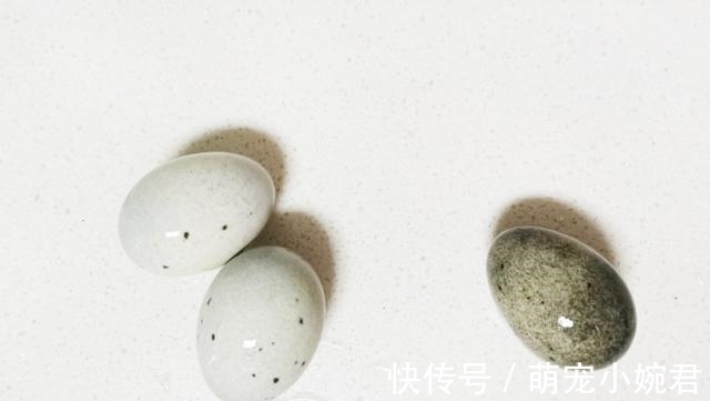 小米辣|被认为“最脏”一道菜,却被许多人都当成美食,懂行的人从不吃