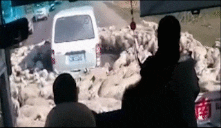 |搞笑GIF:带女朋友去动物园 我感觉好像被骗了