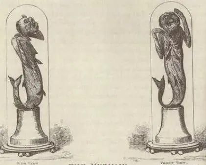 日本收藏的“龙”标本,背后不可告人的历史…