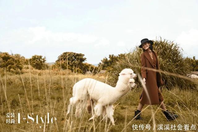 自然|这件羊驼绒大衣,比拥抱更暖