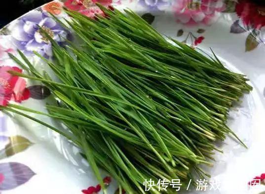 小麦在家种,7天长出苗,炒成菜别提有多好吃了