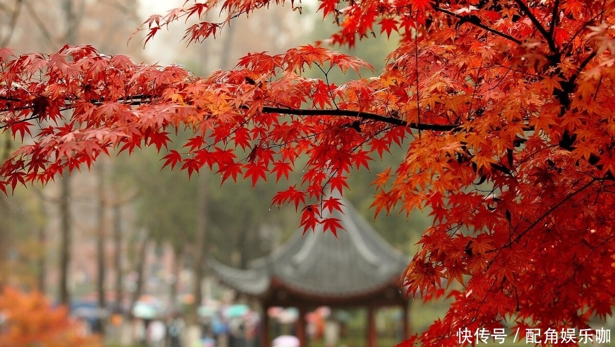 天下|《天下无毒》欲望难平：一场大明王朝的锦衣卫禁毒“必输战”？