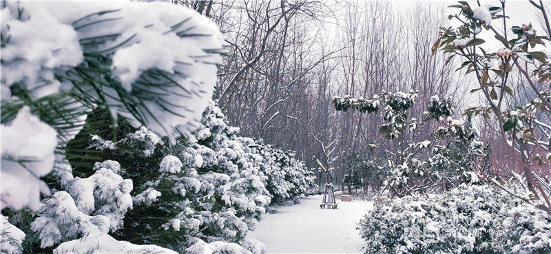 大雪|烟台今年的第一场大雪来啦!