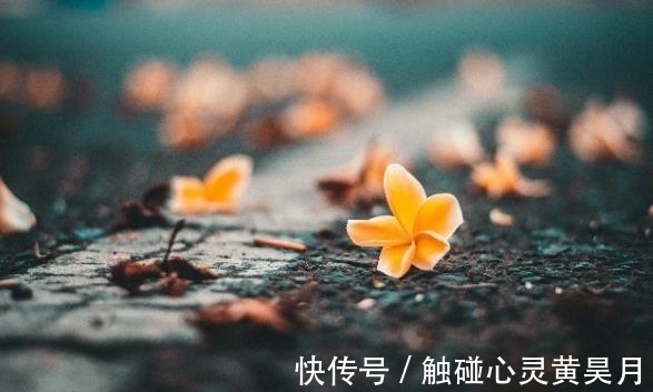 家境|下半年,户头有钱的四大生肖,家境优渥,有钱有爱