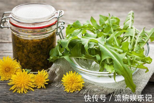 國家藥典|蒲公英根48小時內可殺死98%癌細胞，這一說法是真的嗎？
