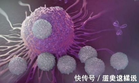 神农本草经|1种果子“婴儿食之不老,老人食之延年”,肿瘤专家如此吃更好