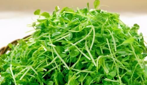 氨基酸|女人养肝就是抗衰老，3种食物，养肝护肝，肝脏舒服，人显年轻