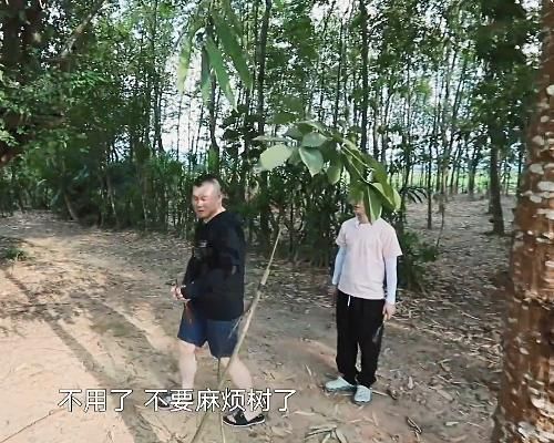 砍树|周深参加《向往》却拒绝干活,得知他的理由,字幕都不敢打出来