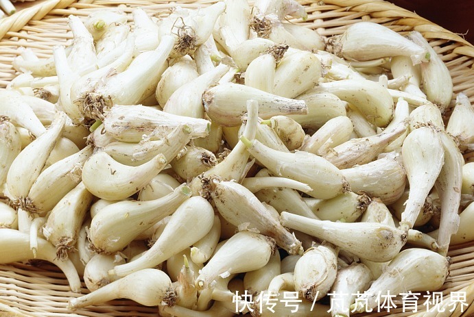 薤白|此物像葱又像蒜,通血管不输三七,却便宜太多!农村遍地都是!