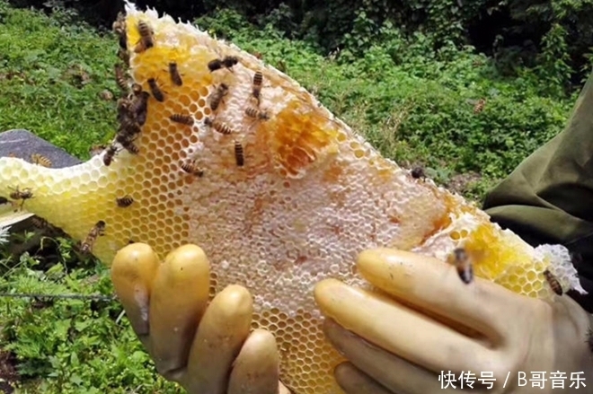 這4種食物越放越“值錢”,不怕過期!千萬別扔,別傻傻不知!