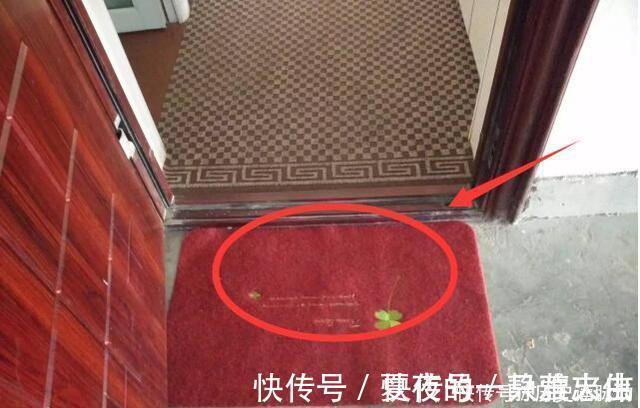 壁纸|搬入新房2月想拆房！当初脑子被驴踢中了17个装修坑，个个烧心慌