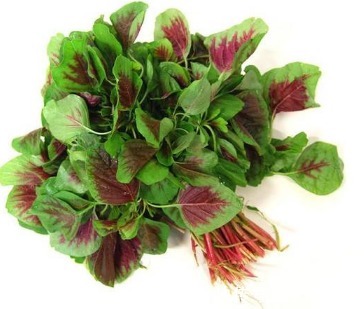 预防|聪明人都爱吃3种食物，改善心脑血管，预防衰老，身体更健康