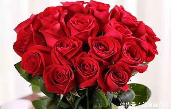 夏季养花不如养一盆“精品玫瑰”卡罗拉,花色红艳似火,热情奔放