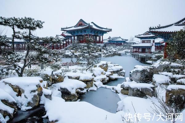 大河网讯|新春走基层｜郑州园博园带你感受浓浓年味儿