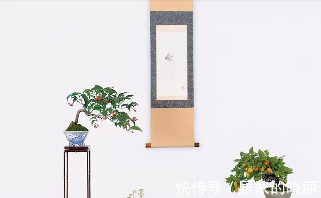 植株|制作微小型盆景,素材的选择是关键,教你如何快速地获取优质素材