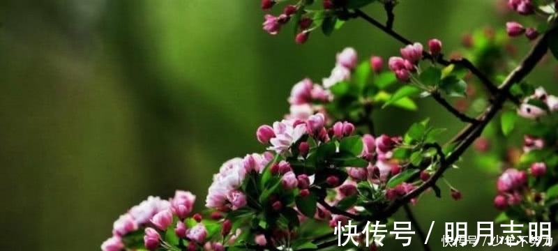 唯美|杜牧最唯美的一首诗,通篇更是美得犹如一幅画,同时还充满讽刺