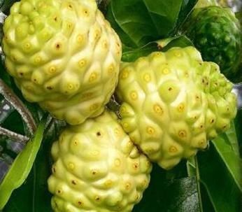 妇科炎|女性常吃一“排毒果”,排出子宫毒素污血,活血化瘀,治妇科炎症