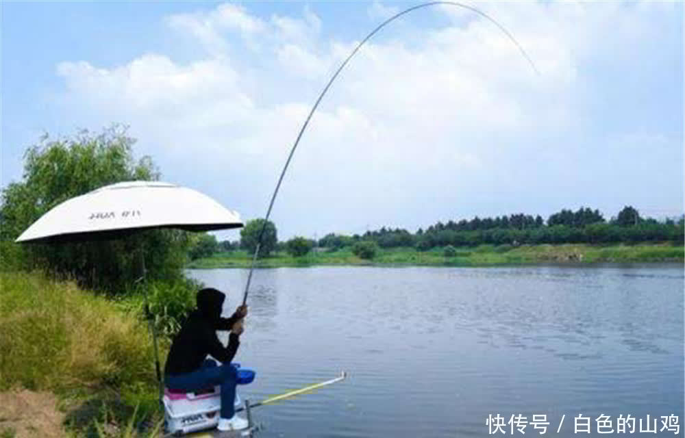 经典|手竿搏大鱼的几种经典漂相,如果出现这些漂相,一定是大鱼在咬钩