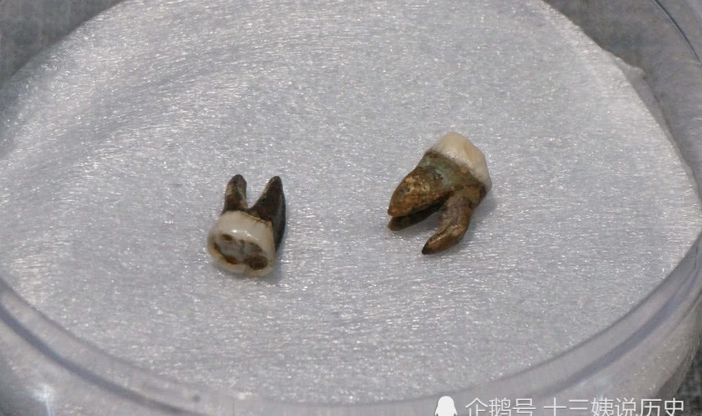 隋炀帝|千古一帝隋炀帝墓地发掘现场：实在太寒酸了，他的遗骸仅剩下两颗牙齿