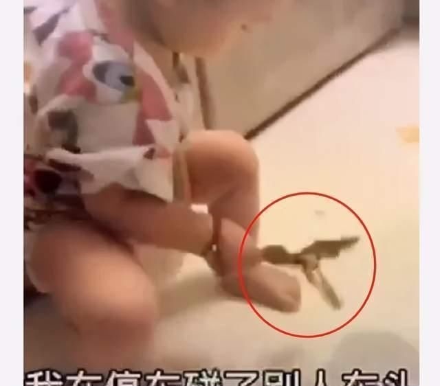 小金人|8岁男童拿“小金人”当玩具,家长崩溃,网友:“练个小号吧”