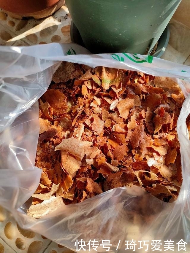 君子兰肥足长得壮，4种“肥水”轮着浇，10枝花箭一起蹿出来